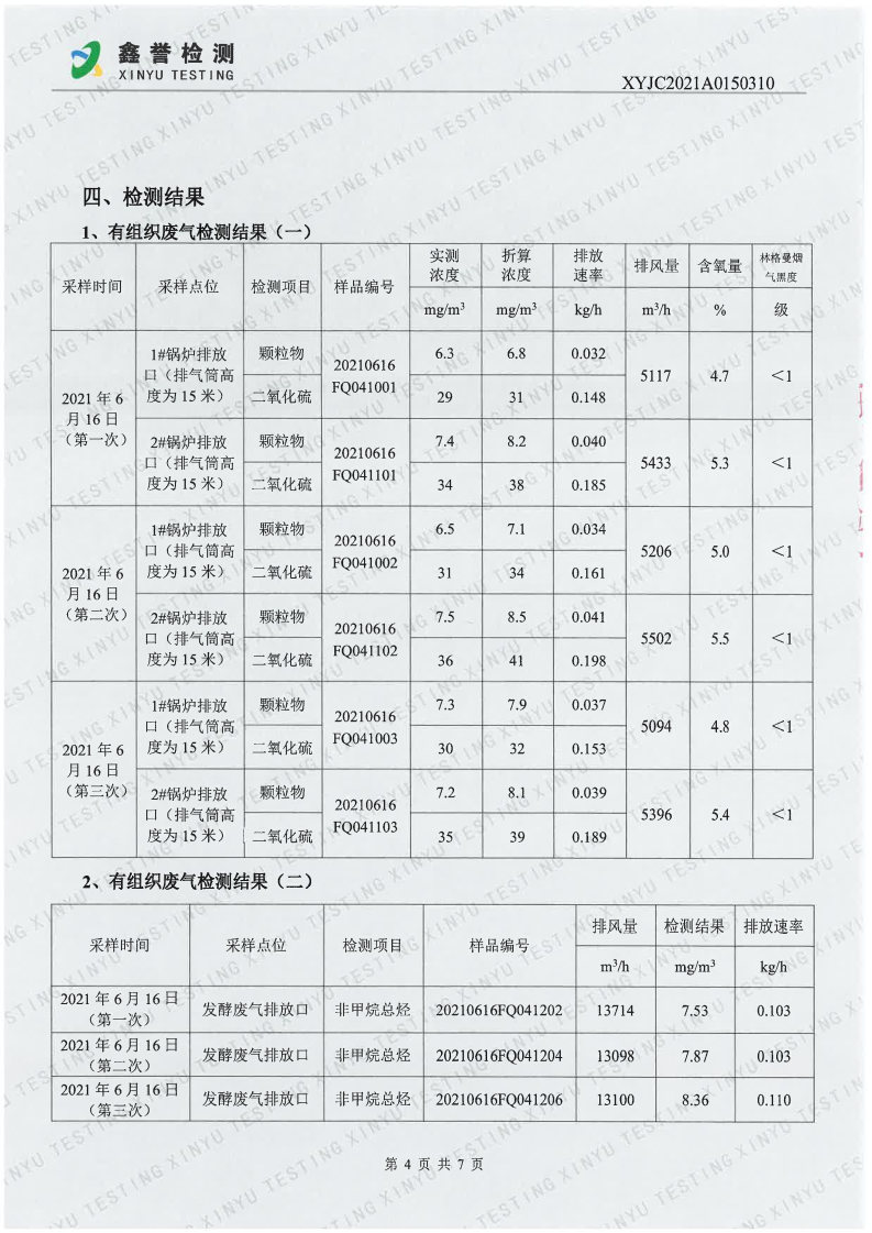 废气（6月）-Z6·尊龙凯时「中国」官方网站_Page4.jpg