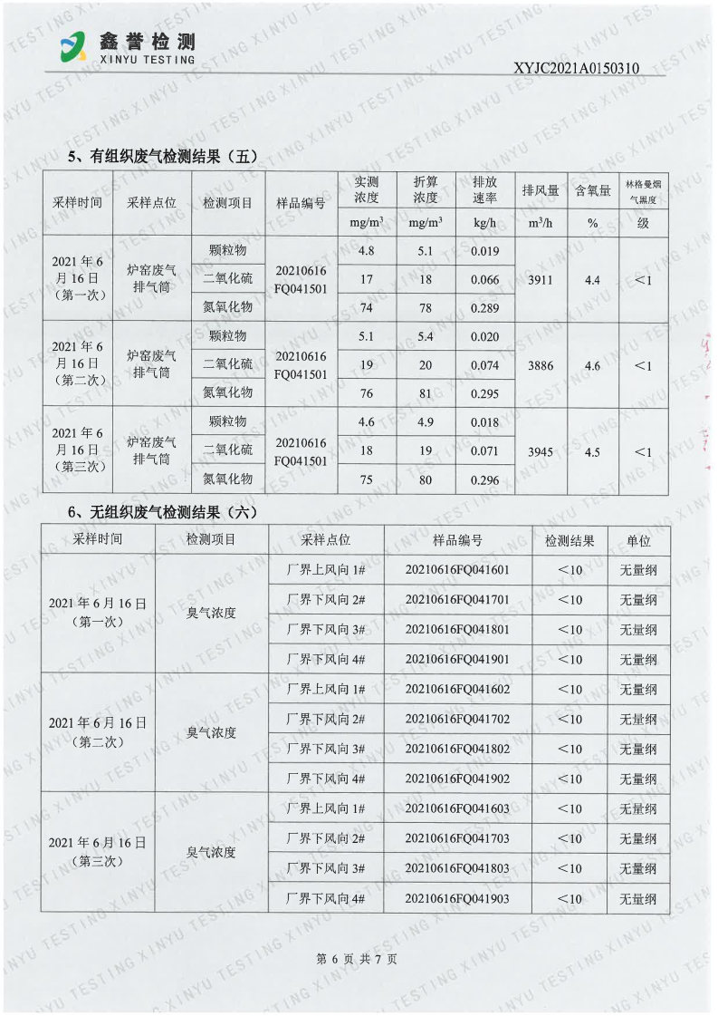 废气（6月）-Z6·尊龙凯时「中国」官方网站_Page6.jpg